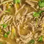 Salsa verde dump go pulled pork 2025 09 30 235727 150x150 1