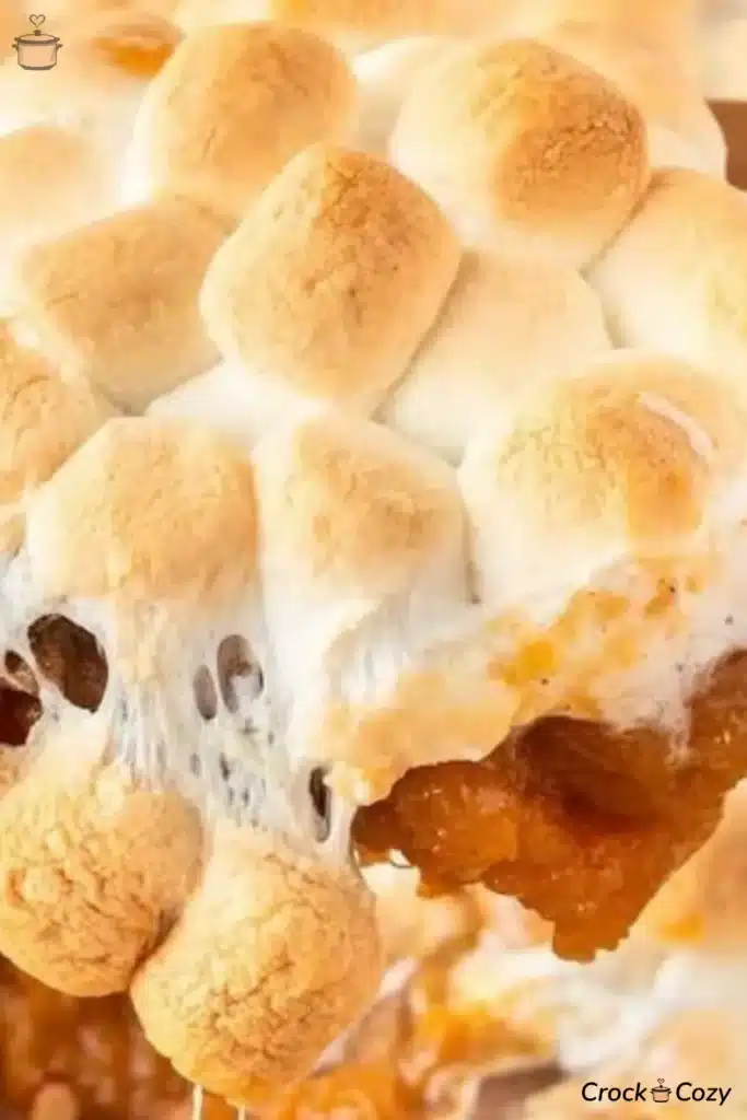 Sweet potato casserole marshmallow pecan 2501 image 002