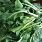Cheesy creamed greens with cavolo nero leeks 2025 11 01 165402 150x150 1