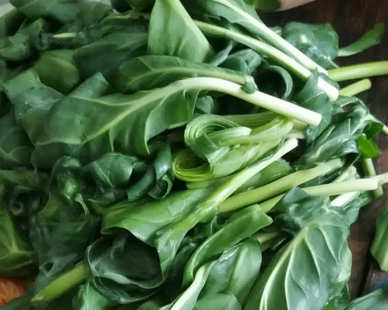 Creamed greens slow cooker with fresh ingredients and creamy sauce in a bowl.