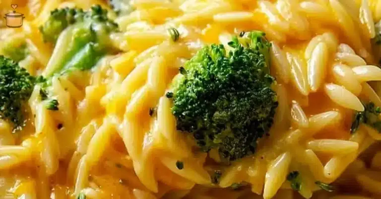 Creamy one-pot broccoli cheddar orzo cooked with fresh vegetables
