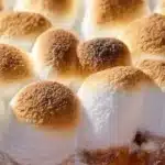 Sweet potato casserole with marshmallows and pecan 2025 11 06 044129 150x150 1