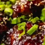 Slow cooker honey garlic chicken 2025 12 10 000631 150x150